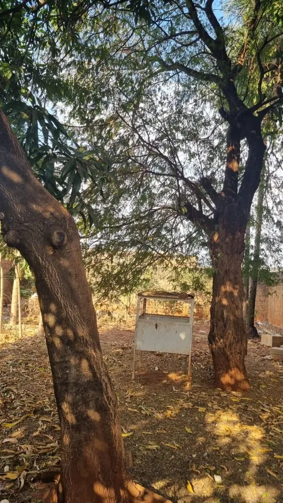 Terreno, 200 m² - Foto 3