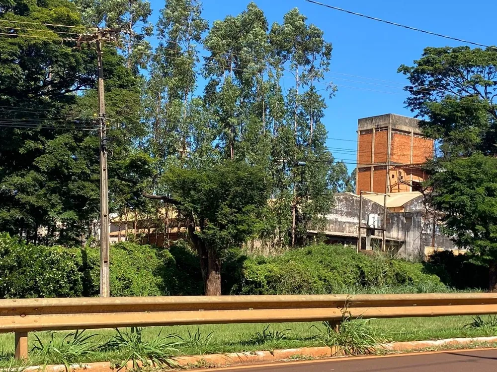 Terreno, 10 hectares - Foto 1