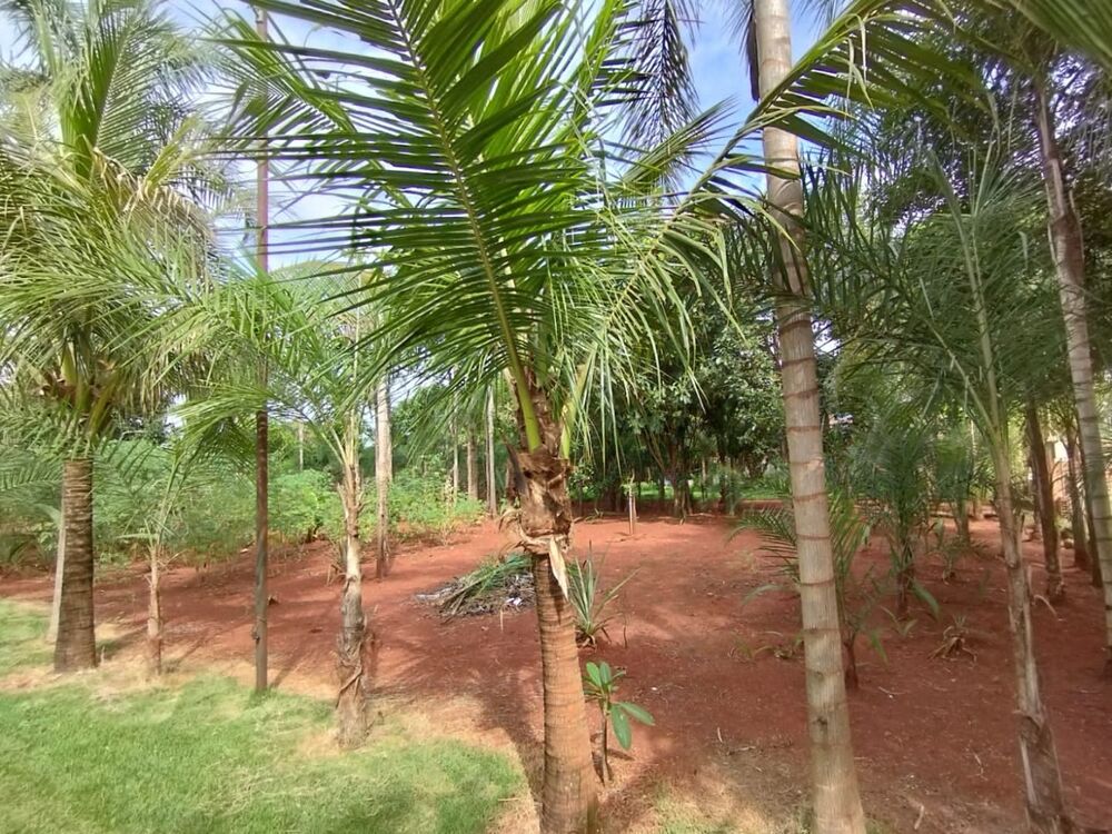Chácara à venda com 3 quartos, 2400M2 - Foto 4