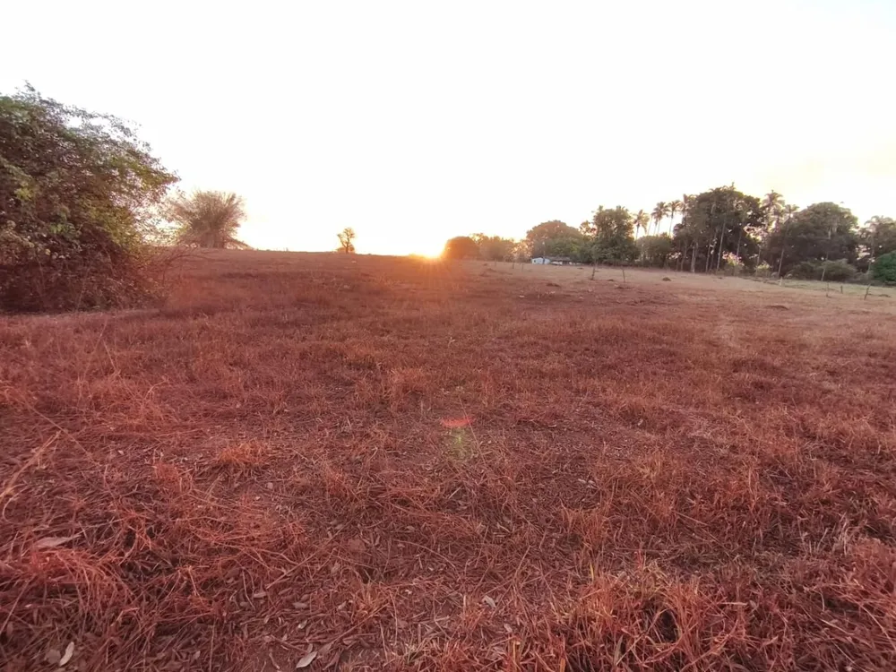 Terreno, 7 hectares - Foto 1