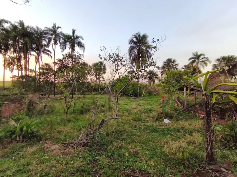Terreno, 7 hectares - Foto 7