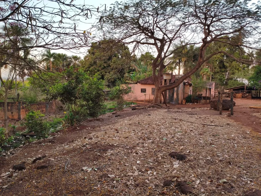 Terreno, 7 hectares - Foto 6