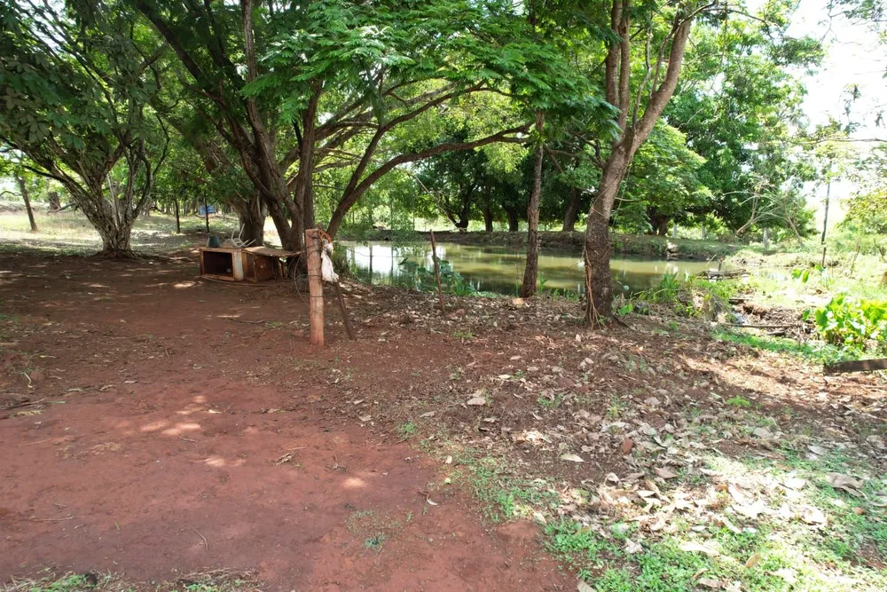 Terreno, 7 hectares - Foto 3