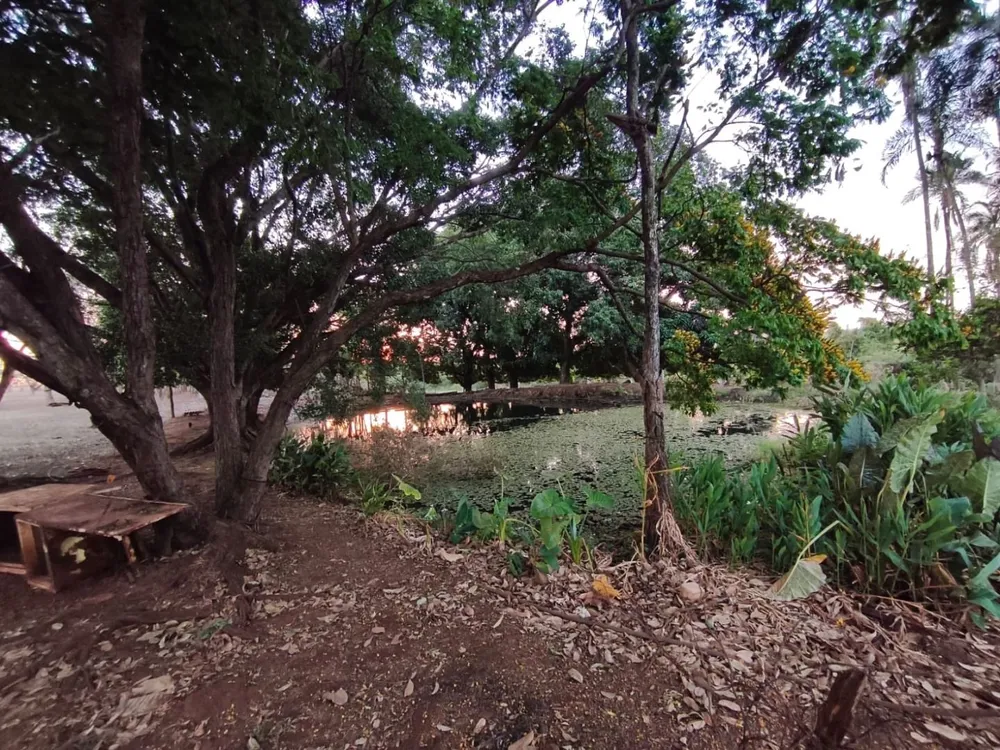 Terreno, 7 hectares - Foto 8