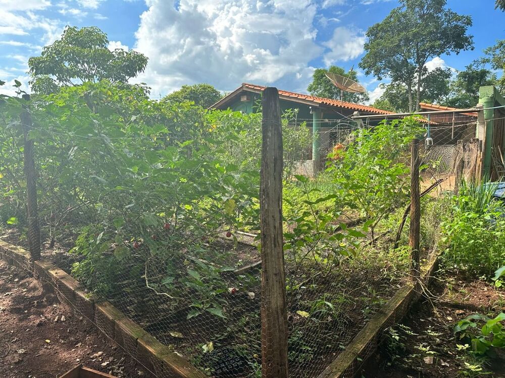 Chácara à venda, 49000M2 - Foto 10