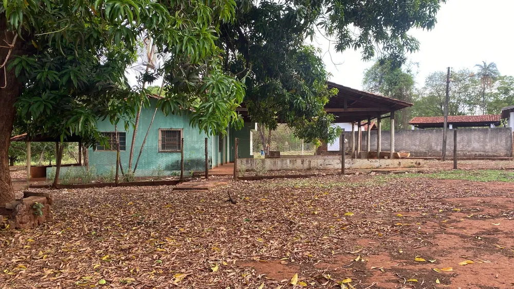 Chácara, 29 hectares - Foto 1