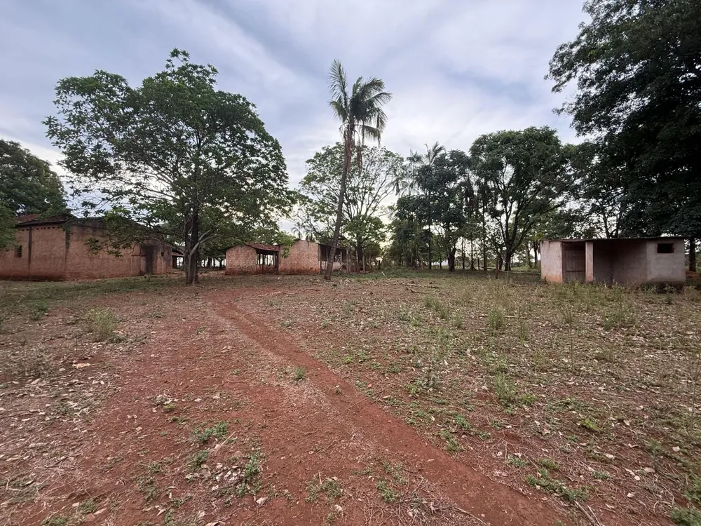 Chácara, 29 hectares - Foto 11