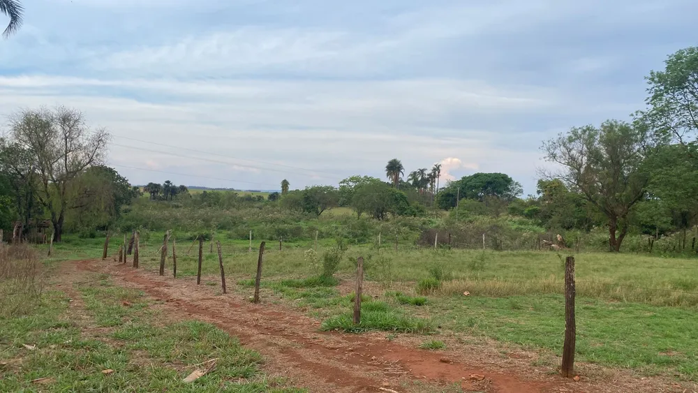 Chácara, 29 hectares - Foto 7