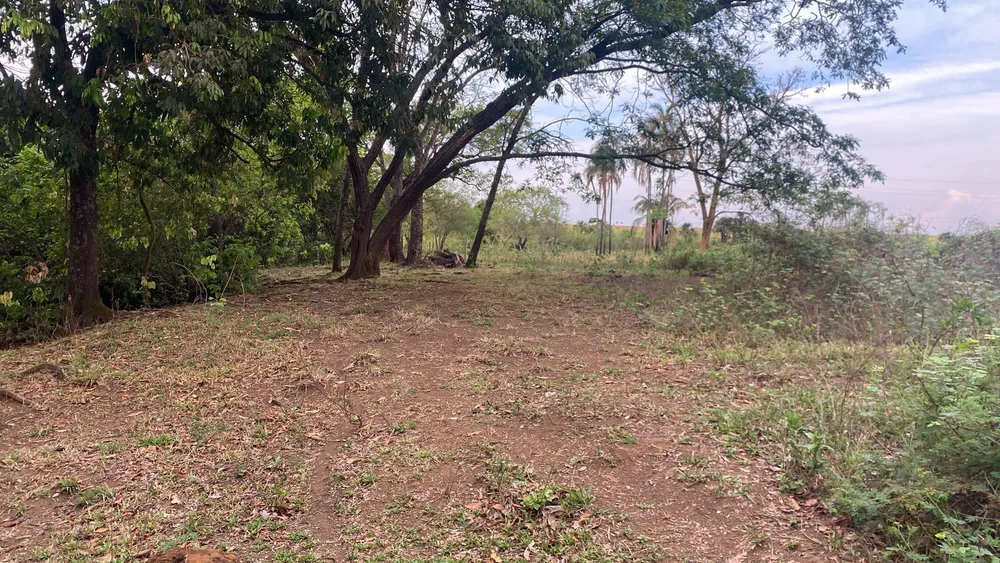 Chácara, 29 hectares - Foto 10