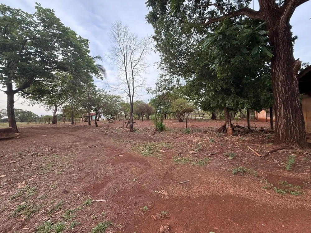 Chácara, 29 hectares - Foto 12