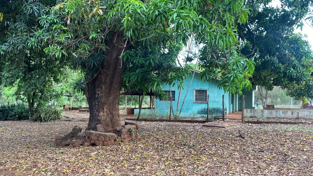 Chácara, 29 hectares - Foto 2
