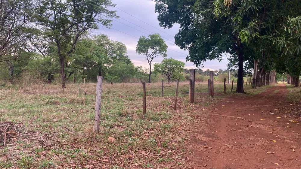 Chácara, 29 hectares - Foto 9