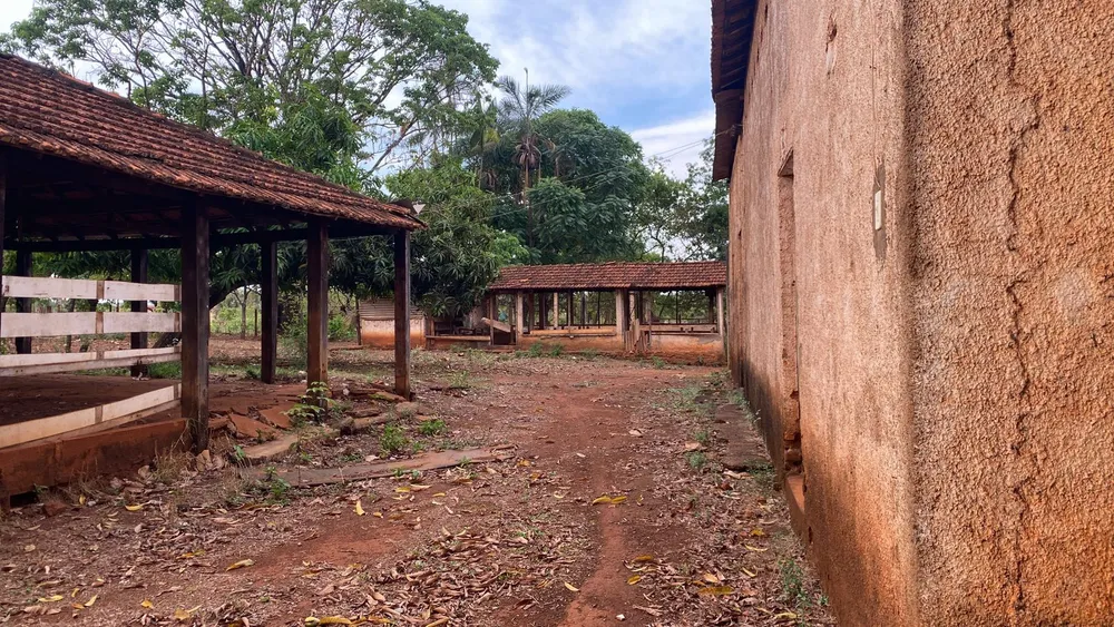 Chácara, 29 hectares - Foto 6