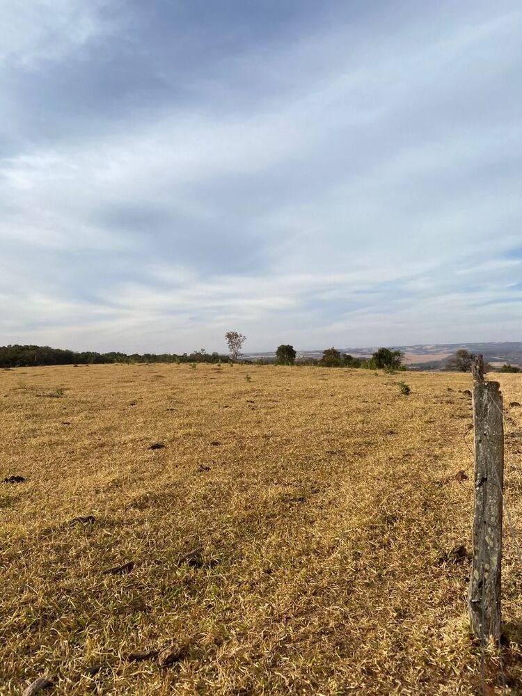 Chácara, 3 quartos, 4 hectares - Foto 3