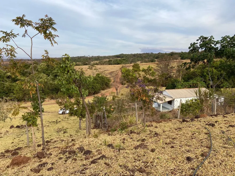 Chácara, 3 quartos, 4 hectares - Foto 2