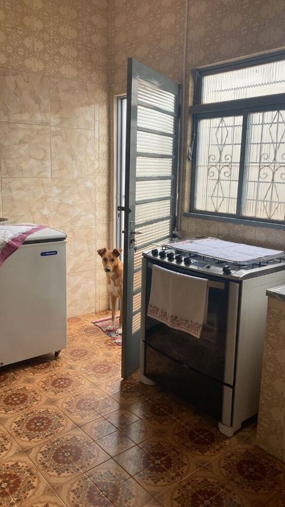 Casa, 4 quartos, 119 m² - Foto 1