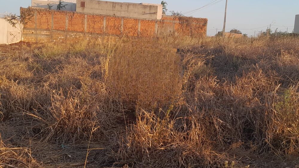 Terreno, 250 m² - Foto 1