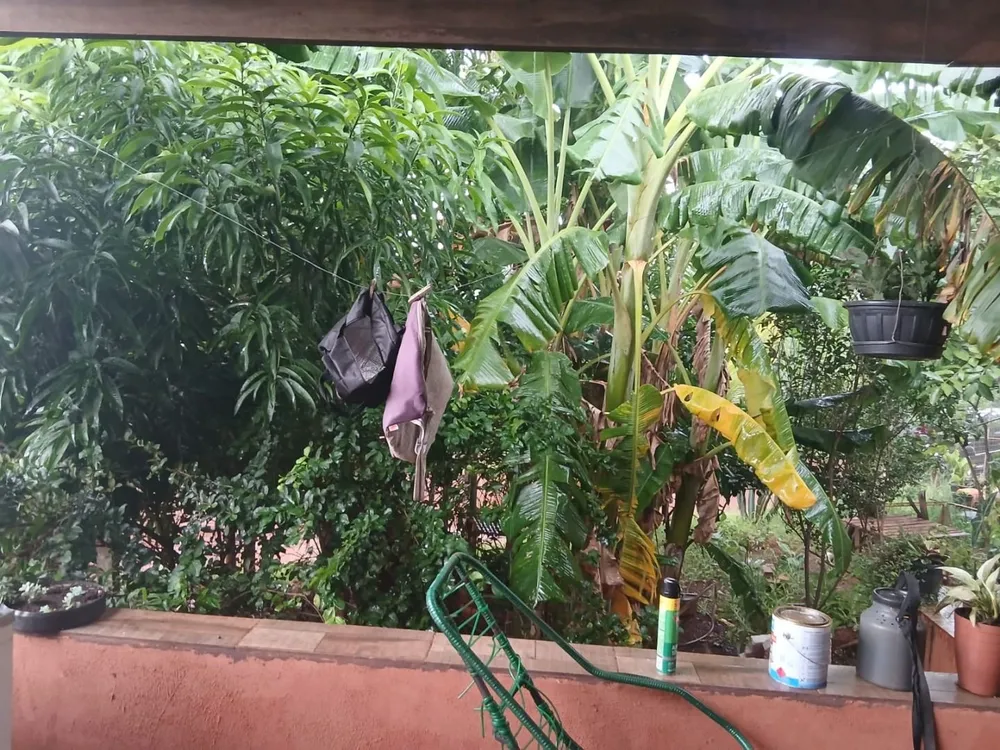 Fazenda, 600 m² - Foto 8