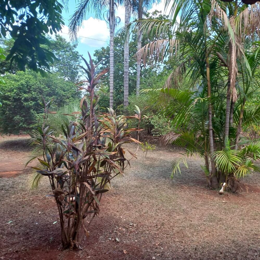 Chácara à venda com 2 quartos, 4300M2 - Foto 2