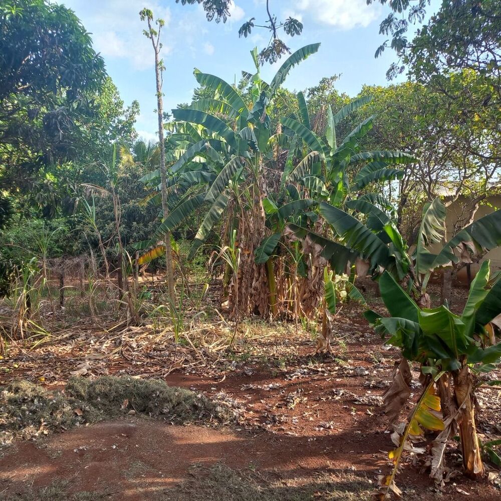 Chácara à venda com 2 quartos, 4300M2 - Foto 9
