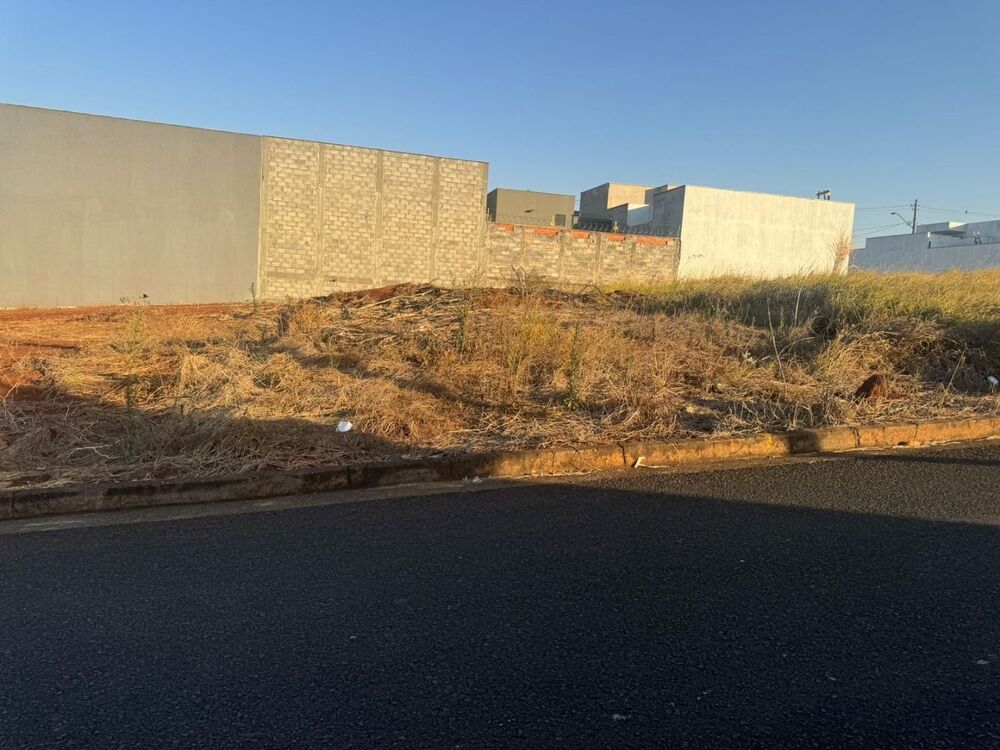 Terreno à venda, 250M2 - Foto 2