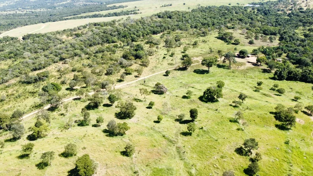 Fazenda, 329 hectares - Foto 10