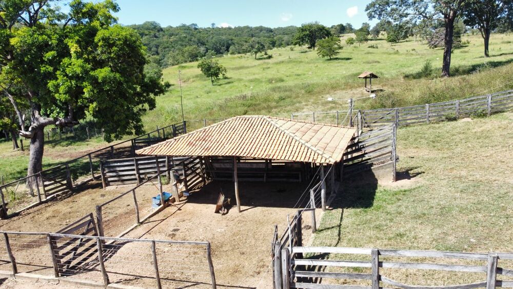 Fazenda à venda com 3 quartos, 3291200M2 - Foto 2