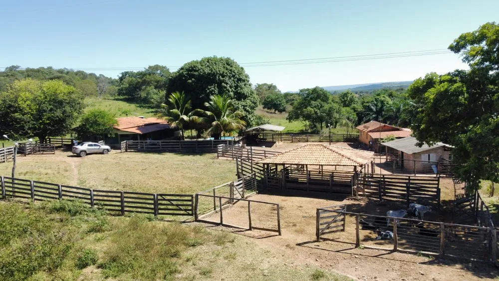 Fazenda, 329 hectares - Foto 8