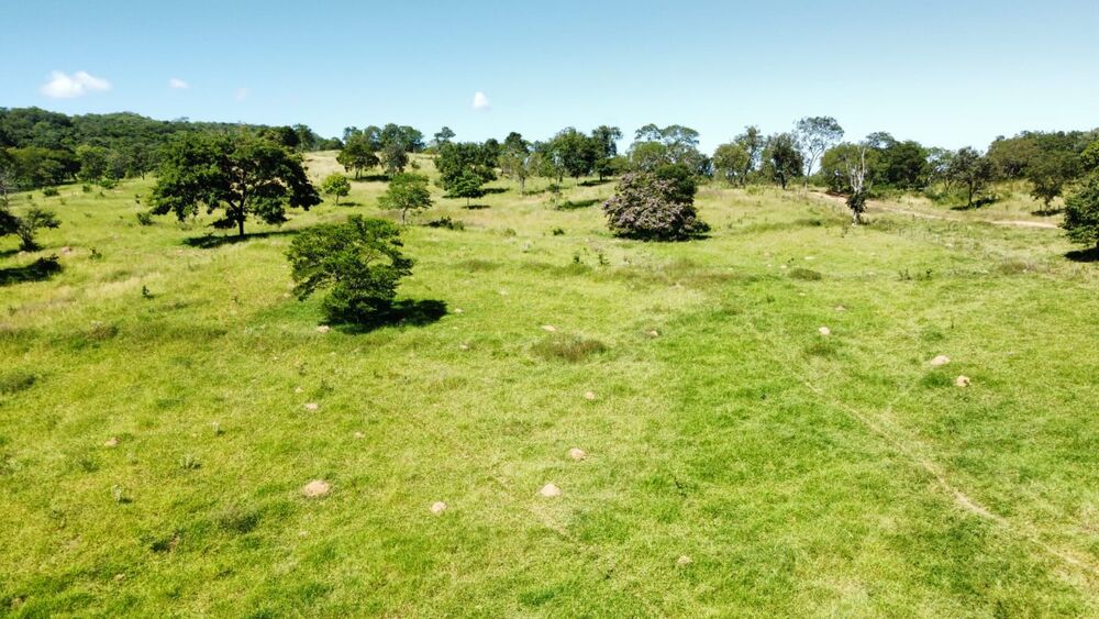 Fazenda à venda com 3 quartos, 3291200M2 - Foto 4