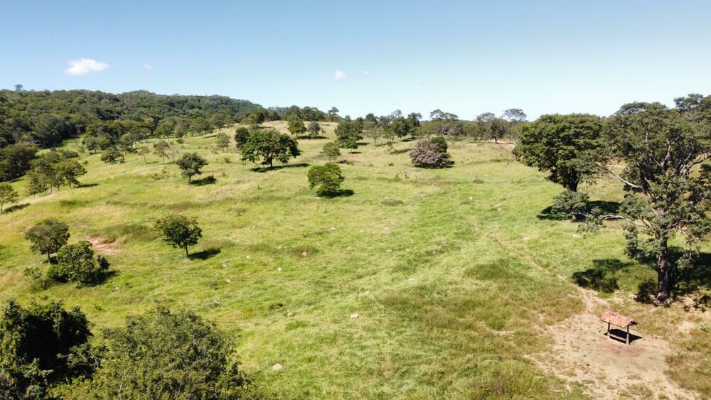 Fazenda, 329 hectares - Foto 6