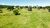Fazenda, 329 hectares - Foto 4
