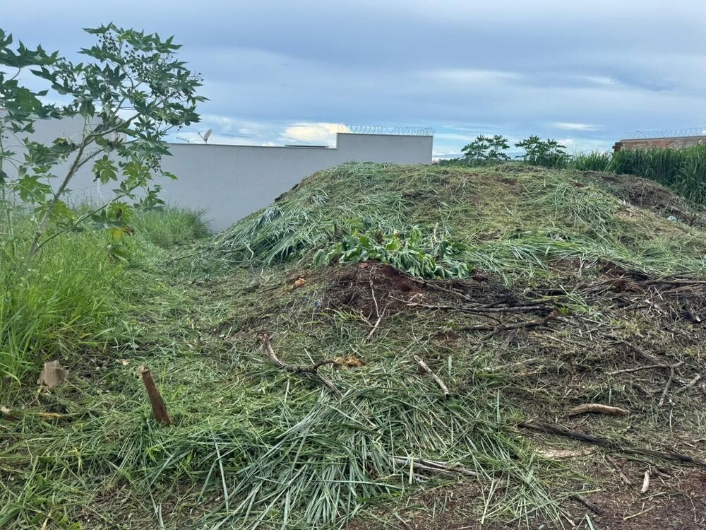 Terreno, 250 m² - Foto 1