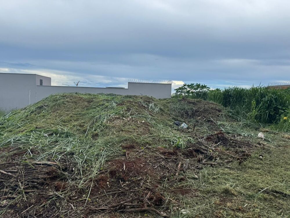 Terreno, 250 m² - Foto 2