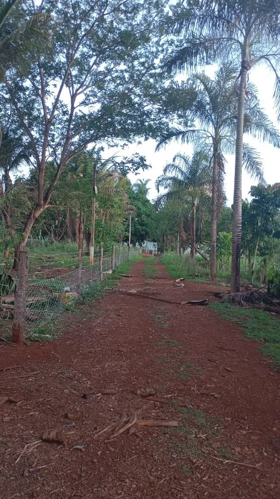 Chácara, 1 quarto, 900 m² - Foto 5