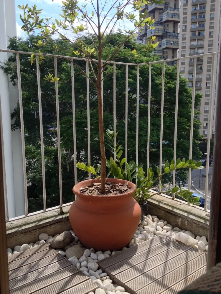 Apartamento, 2 quartos, 130 m² - Foto 1