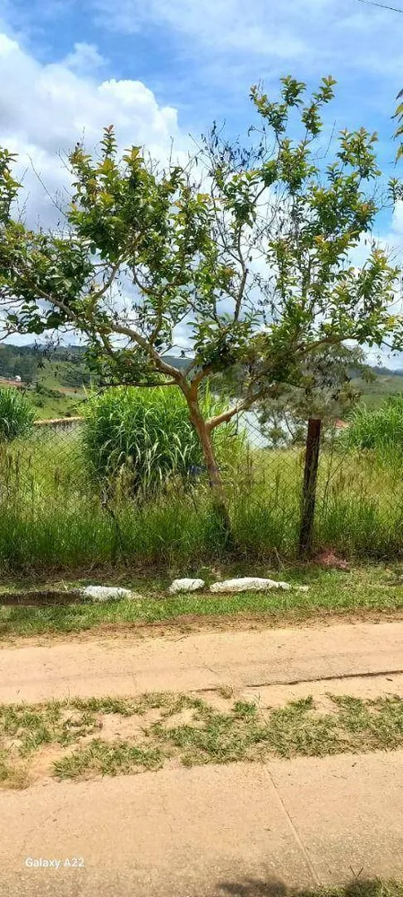 Loteamento e Condomínio, 1093 m² - Foto 3
