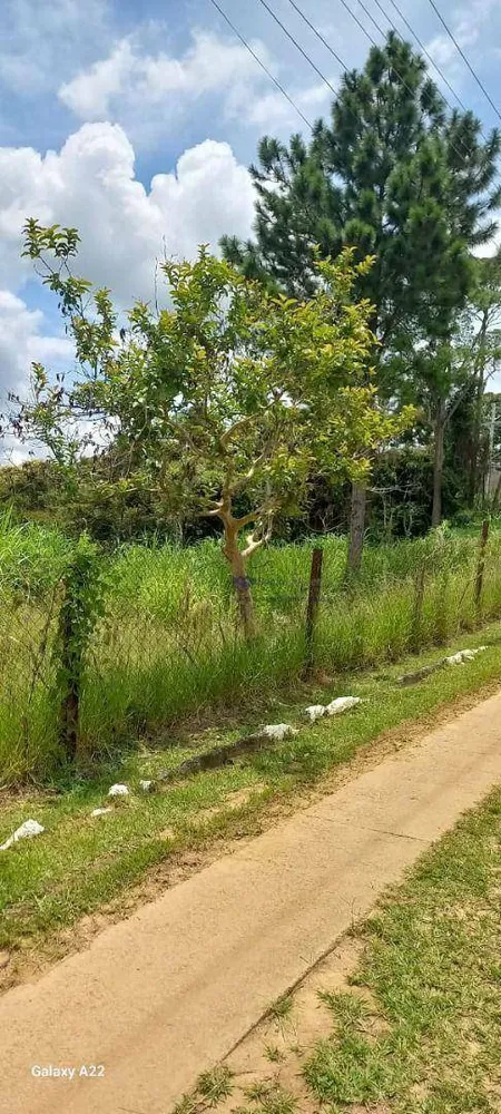 Loteamento e Condomínio, 1093 m² - Foto 5
