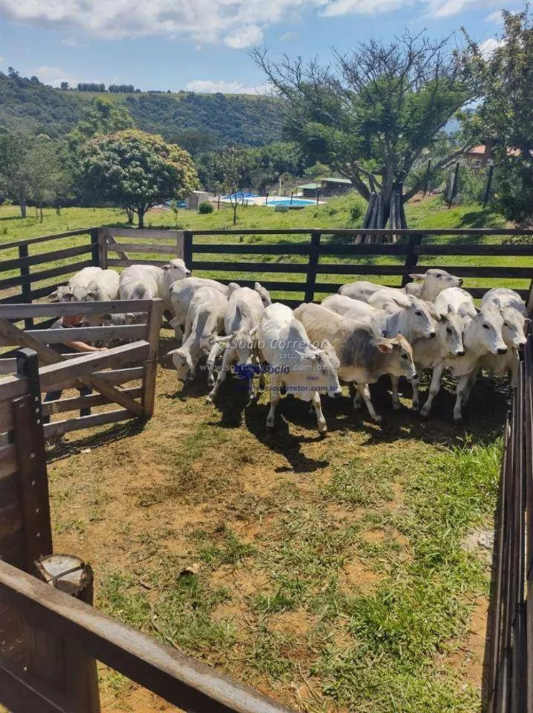 Chácara à venda com 4 quartos, 600m² - Foto 1