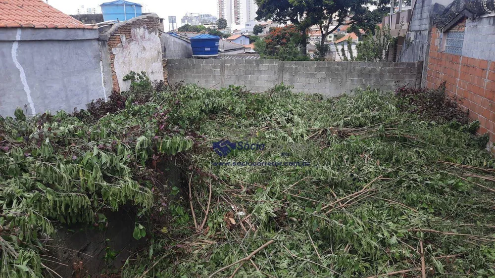 Terreno, 250 m² - Foto 14