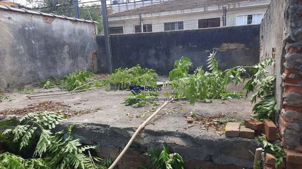 Terreno, 250 m² - Foto 11
