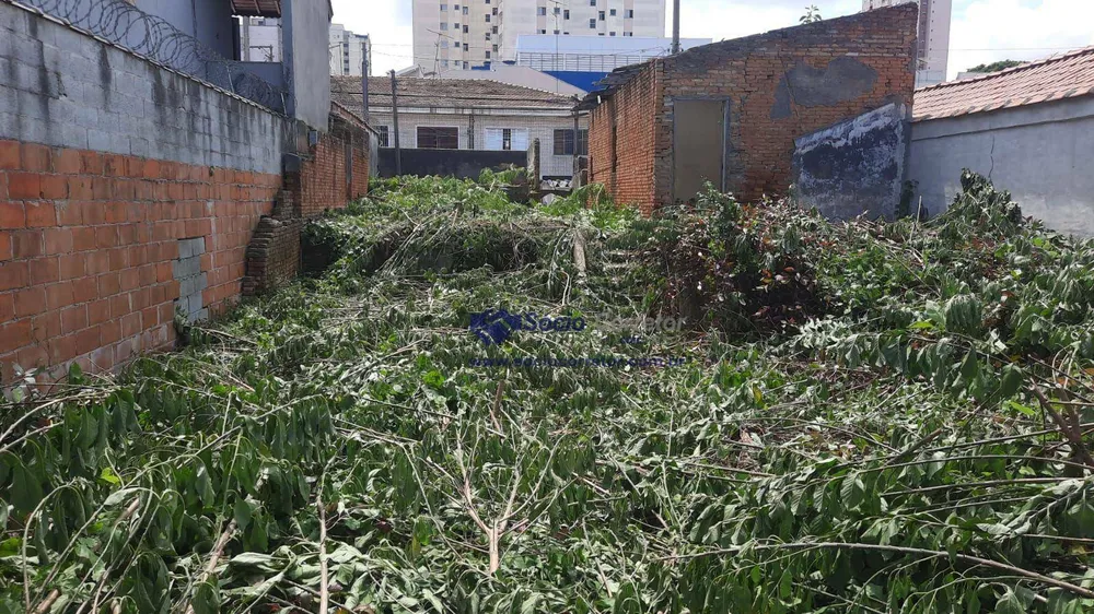 Terreno, 250 m² - Foto 7
