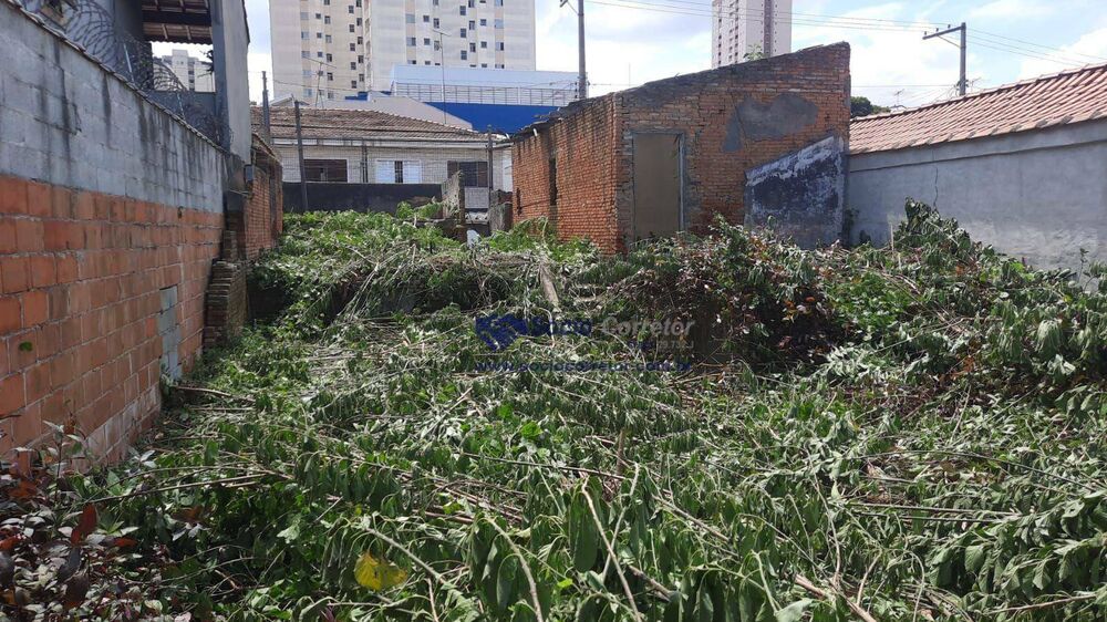 Terreno à venda, 250M2 - Foto 3