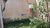 Terreno, 250 m² - Foto 2