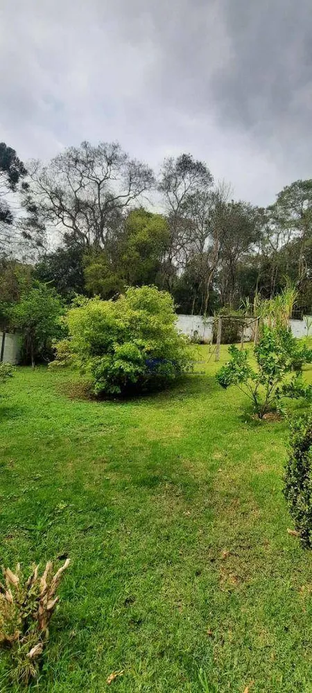 Chácara, 3 quartos, 2800 m² - Foto 19