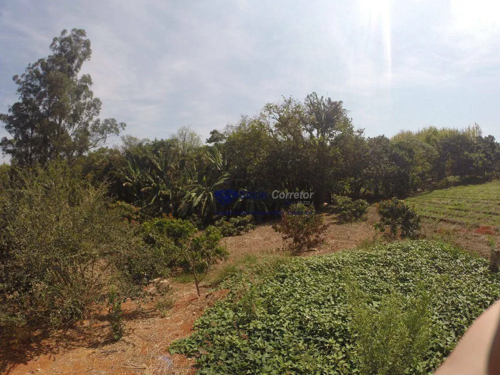Terreno, 4 hectares - Foto 6