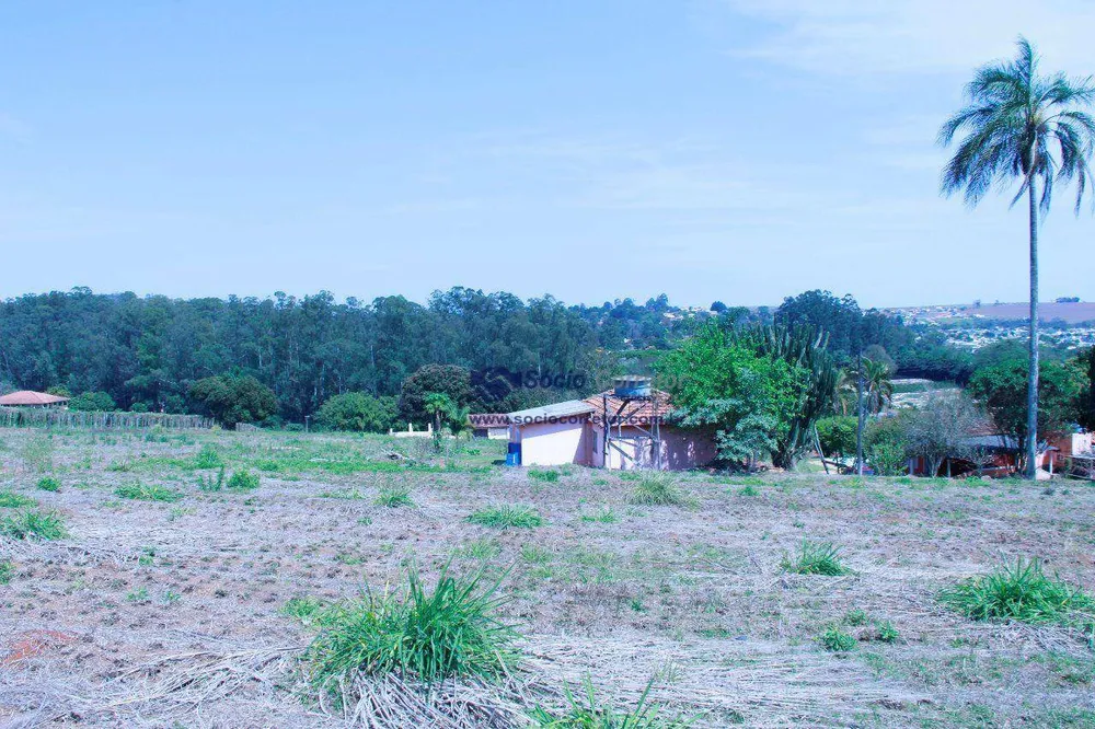Terreno, 4 hectares - Foto 11