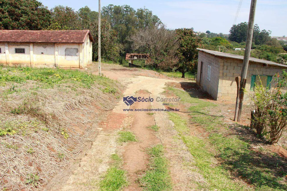 Terreno, 4 hectares - Foto 14