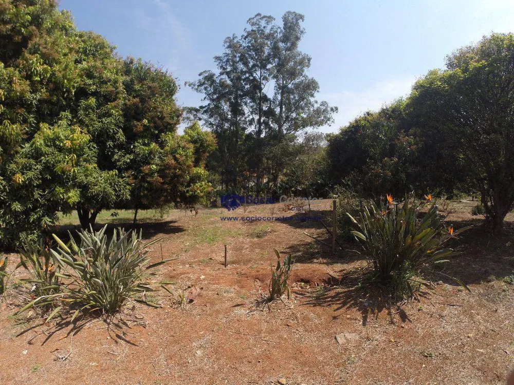 Terreno, 4 hectares - Foto 13
