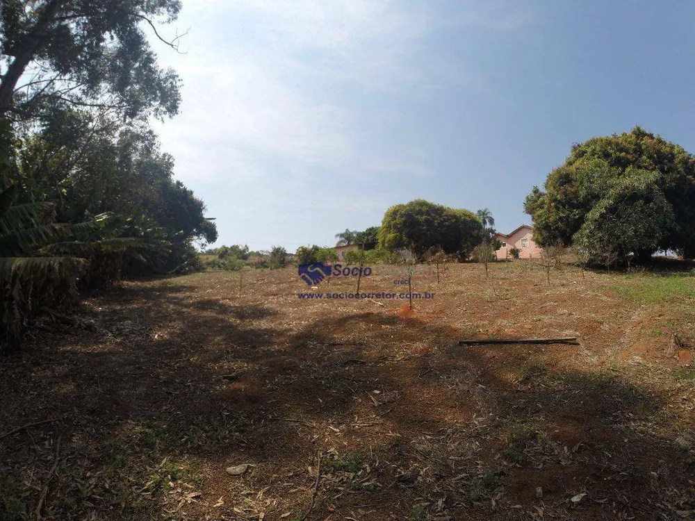 Terreno, 4 hectares - Foto 10