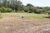 Terreno, 4 hectares - Foto 3